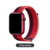 Dây Đeo Thể Thao Dux Ducis Sport Series Apple Watch - Ảnh 5