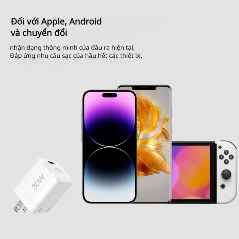 Củ sạc nhanh Diposi GAN 30W